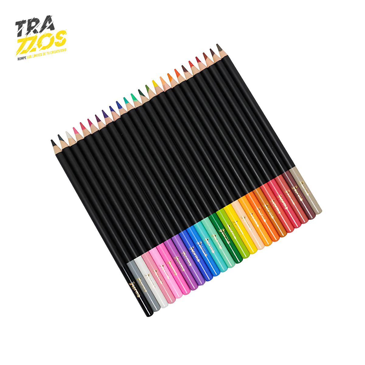 Color Norma Premium x24