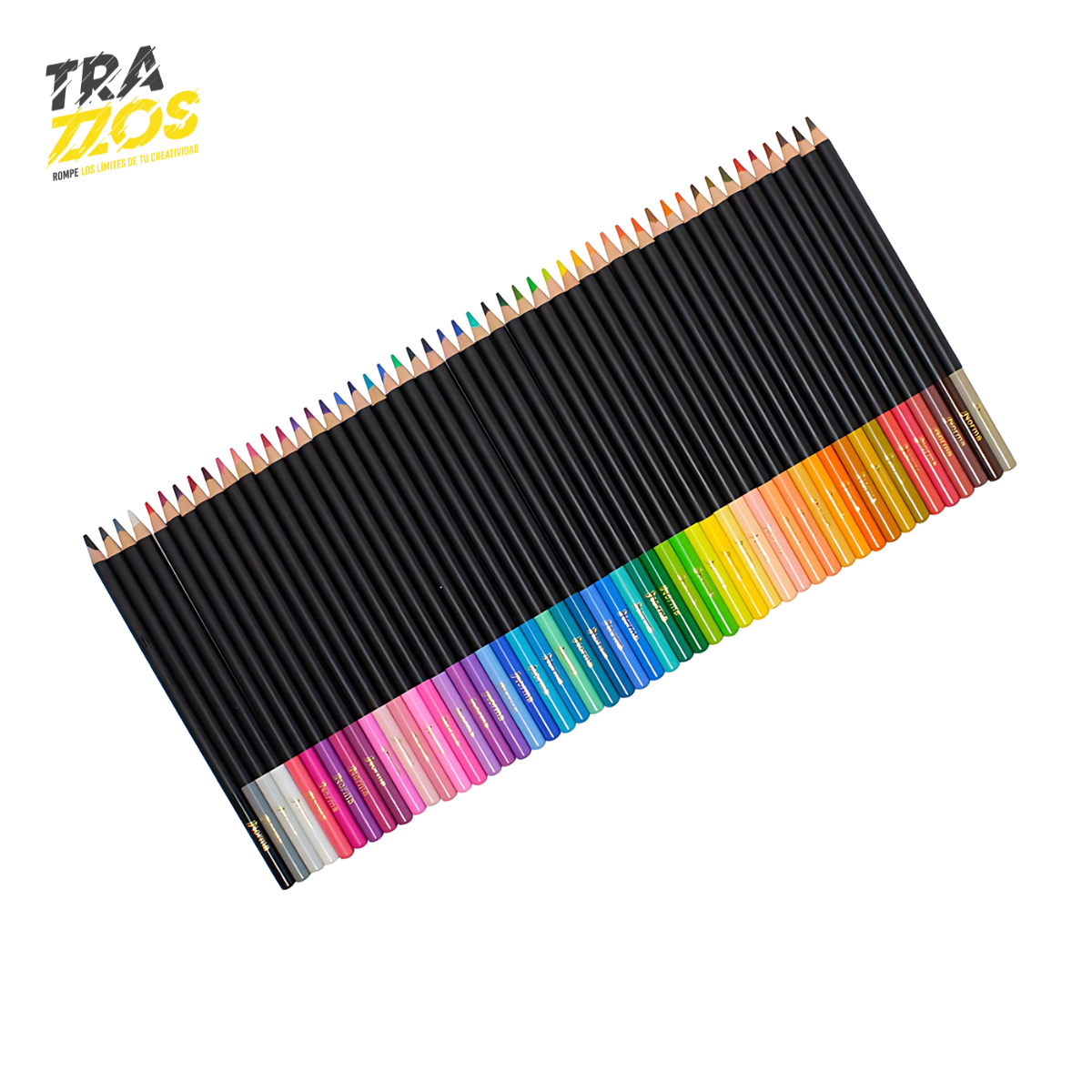Colores Norma Premium x50