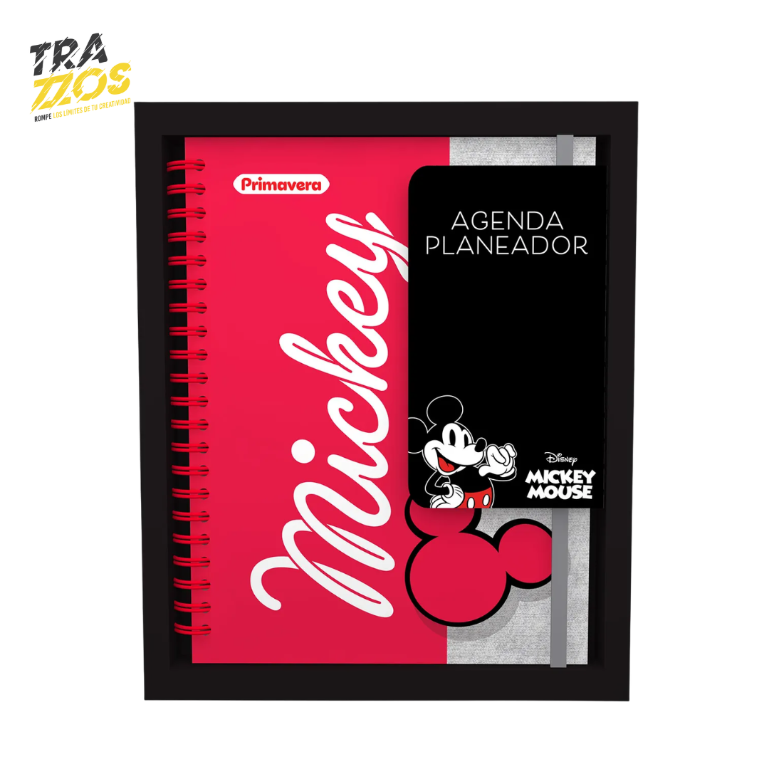 Planeador Primavera Mickey Mouse