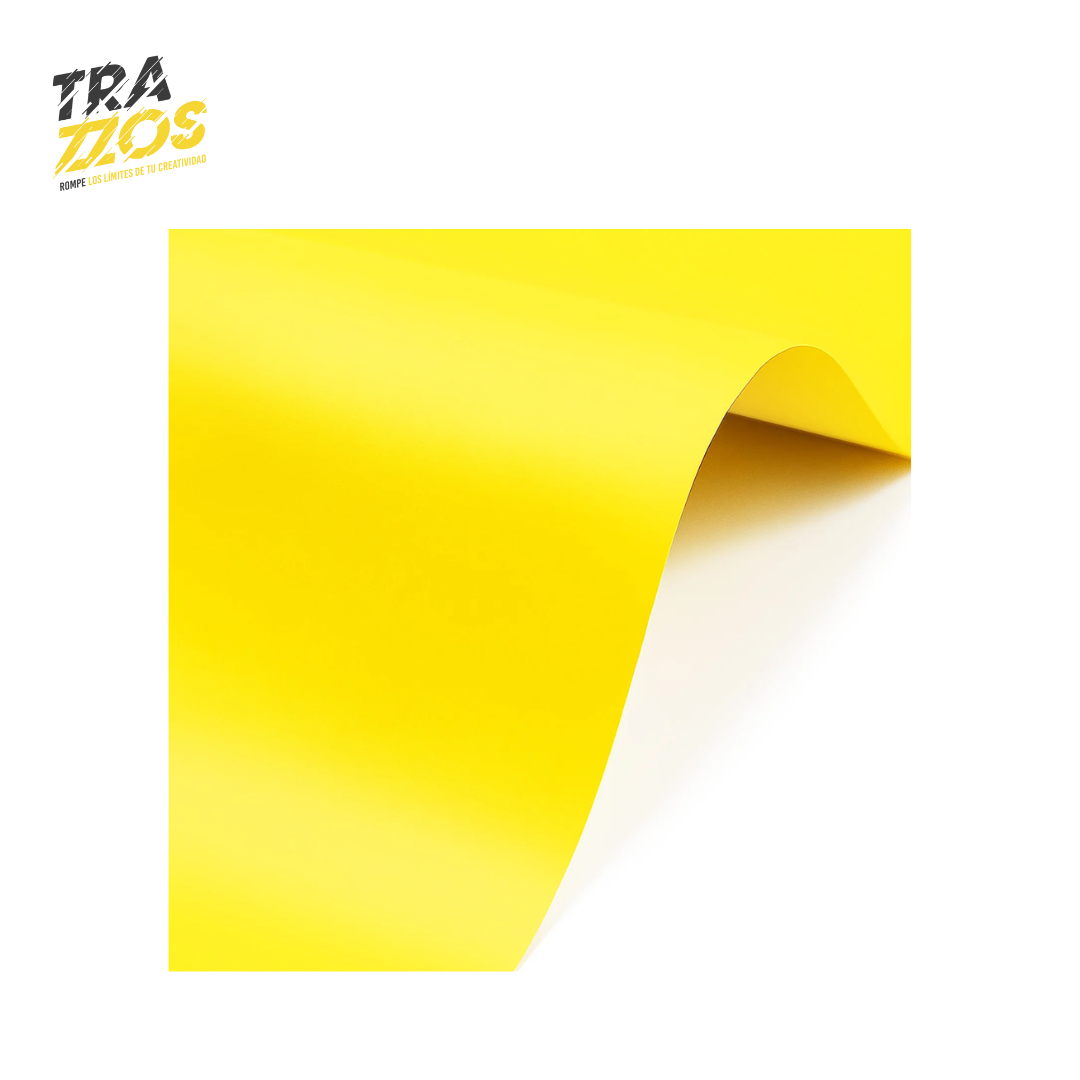 Papel Iris Pliego 80g