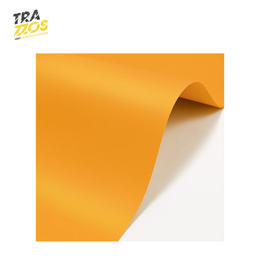 Papel Iris Pliego 80g