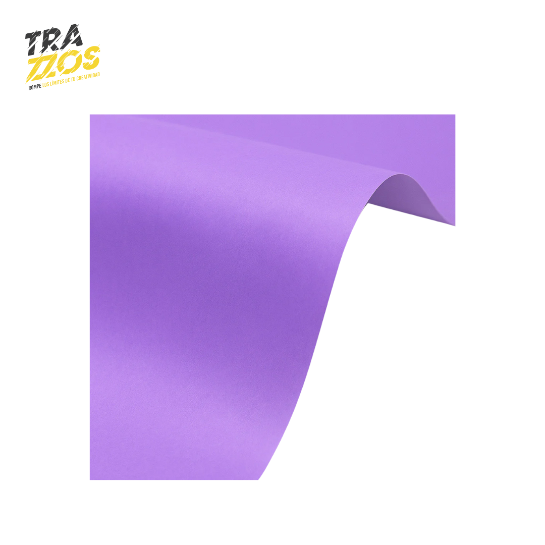 Papel Iris Pliego 80g