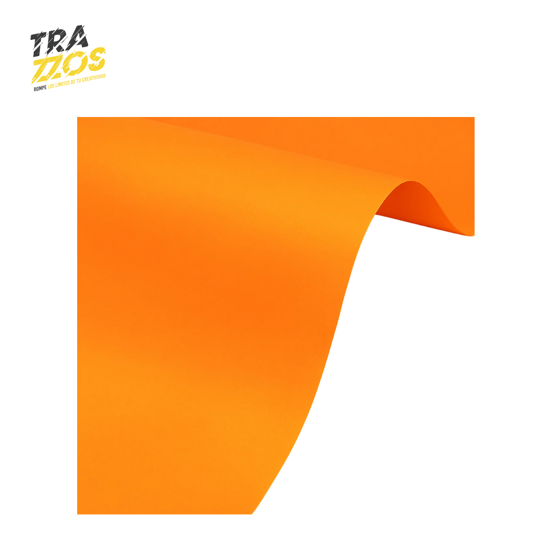 Papel Iris Pliego 80g