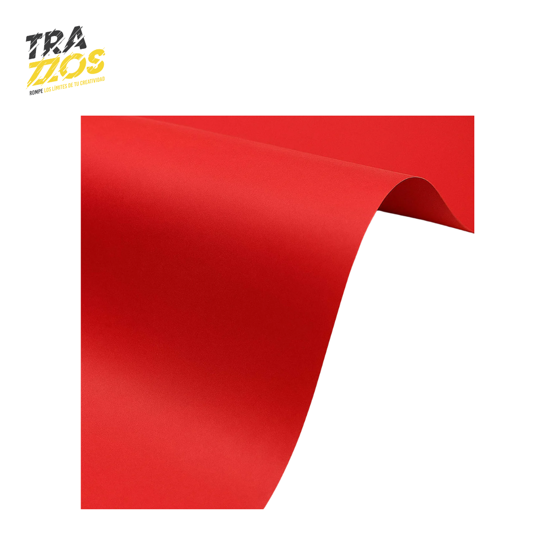 Papel Iris Pliego 80g