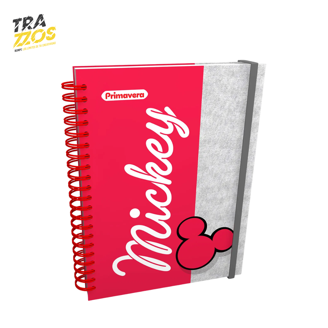 Planeador Primavera Mickey Mouse