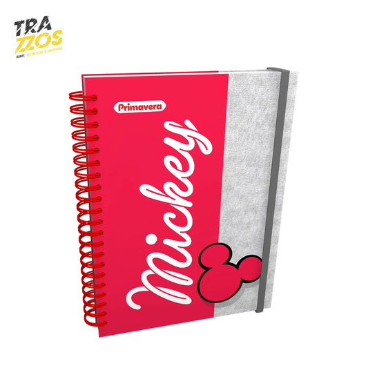 Planeador Primavera Mickey Mouse