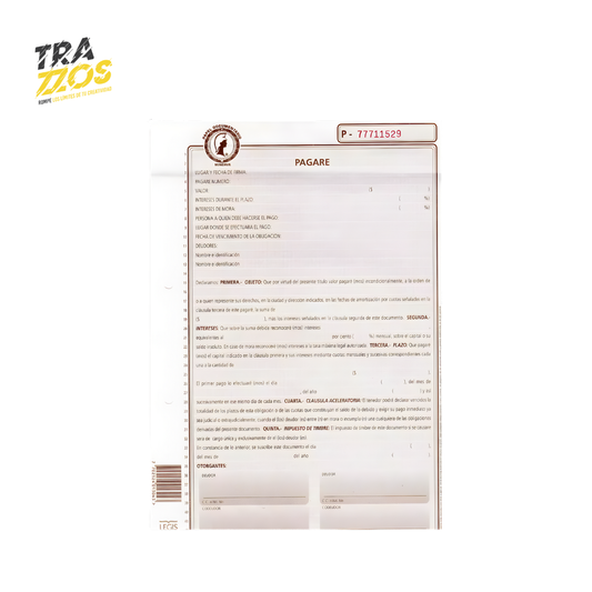 Minerva 60-01 Pagare X12